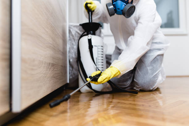 Best Best Pest Control Companies  in North Lindenhurst, NY