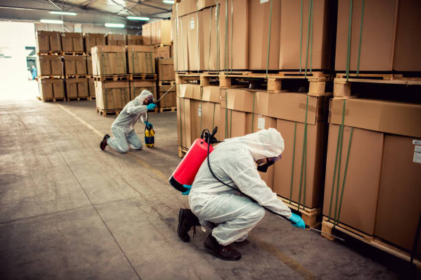 Best Pest Inspection Near Me  in North Lindenhurst, NY