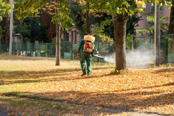Best Termite Control Services  in North Lindenhurst, NY