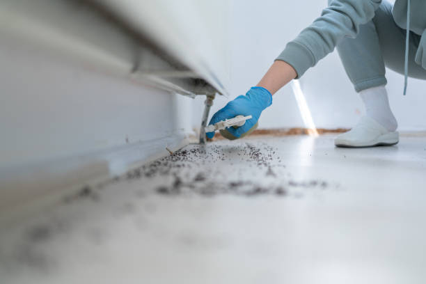Best Pest Prevention Services  in North Lindenhurst, NY